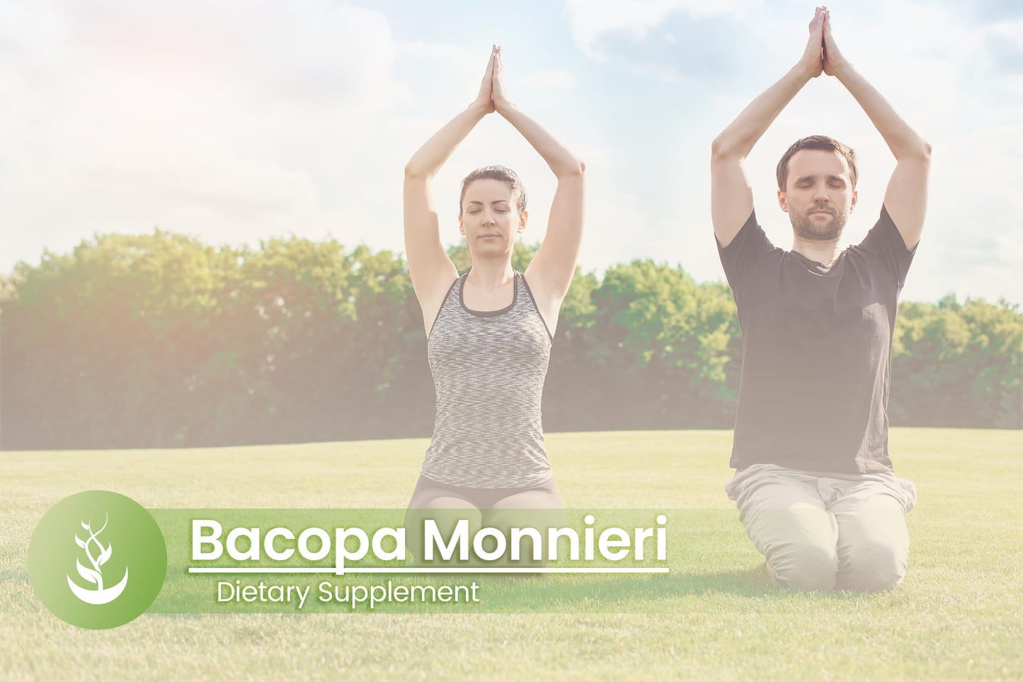 PURE ORIGINAL INGREDIENTS Bacopa Monnieri Capsules 100