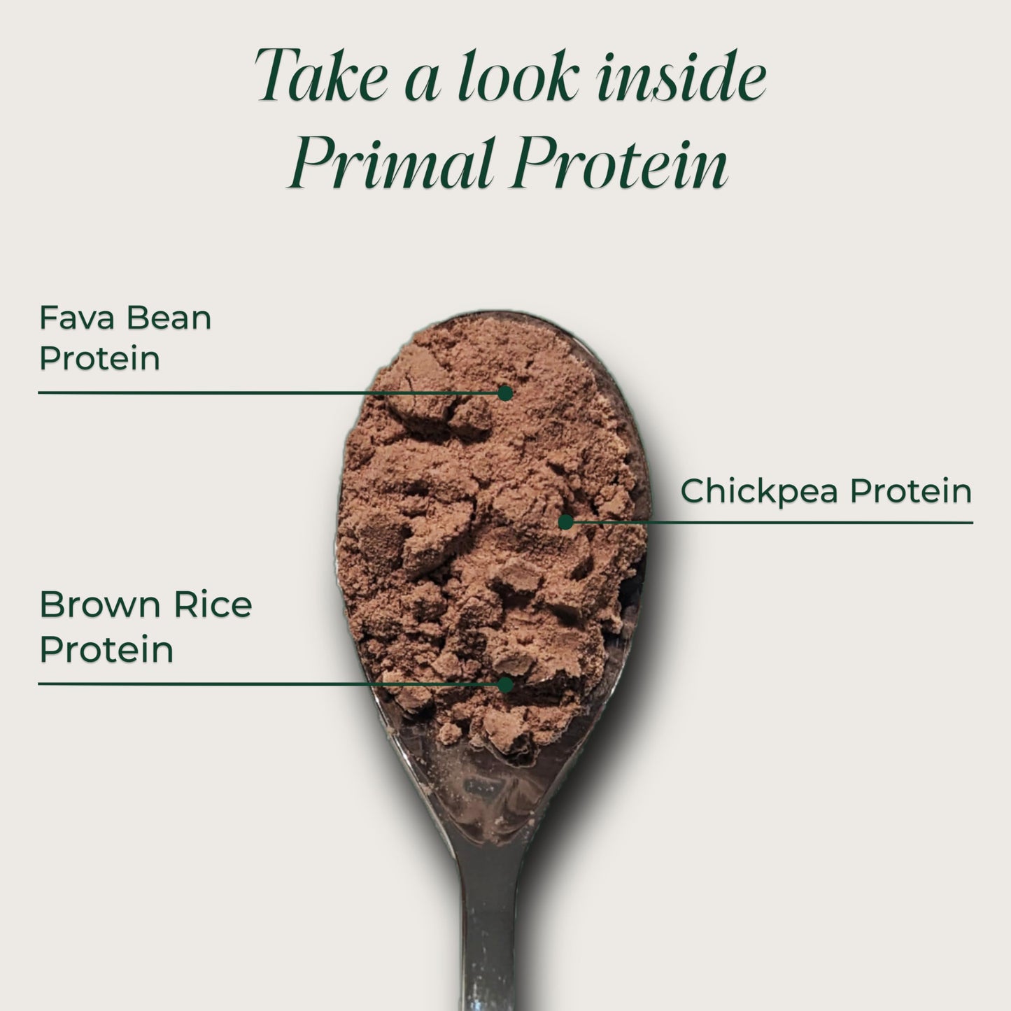 Primal Harvest Protein Powder, Vegan Chocolate, Gluten & Dairy Free, 14.29 Ounce (Pack of 2)