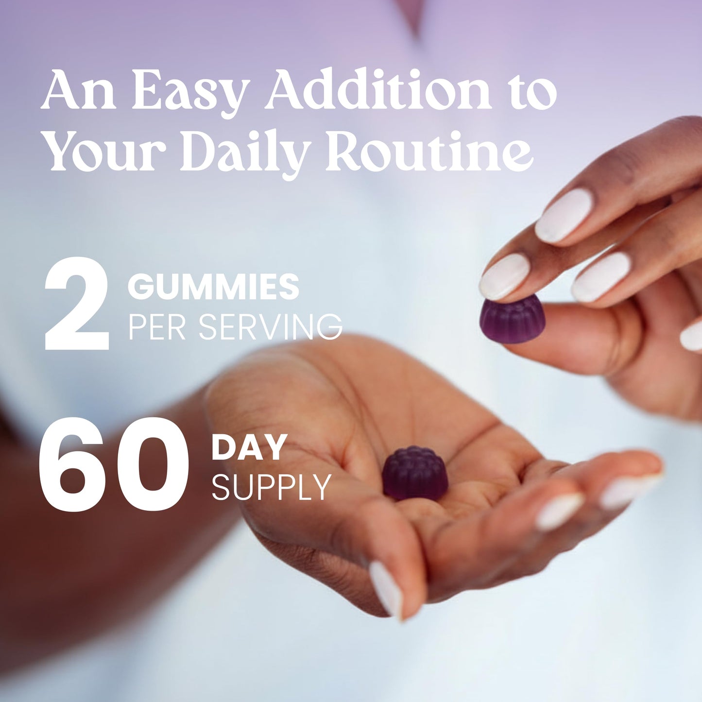 VITA GLOBE Elderberry Gummies with Vitamin C, Zinc, Immune Support Vegan Gummy, 120 Gummies