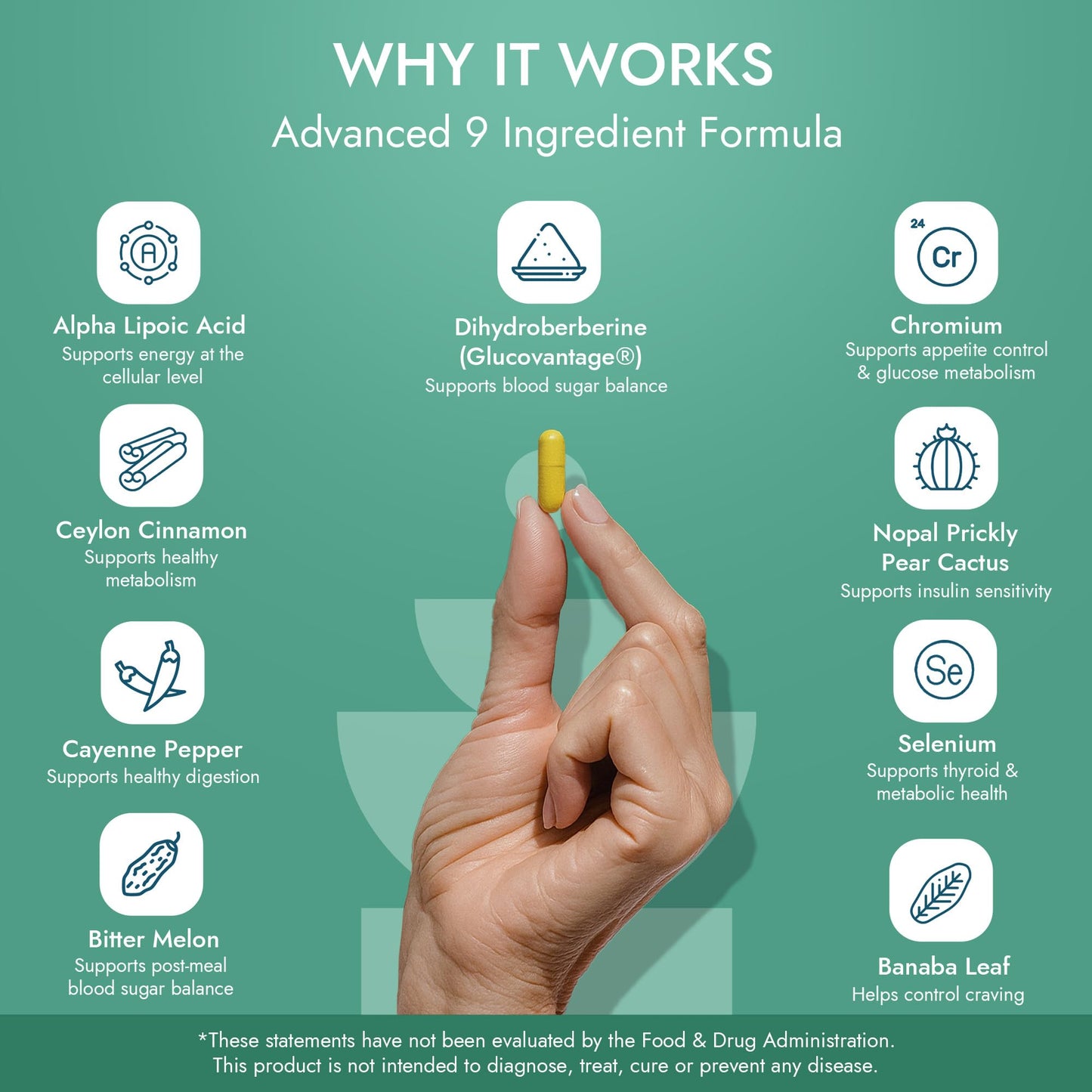 Altavida Dihydroberberine Super Berberine Supplement with Ceylon Cinnamon and Alpha Lipoic Acid - GlucoVantage 250mg - 5x Enhanced Bioavailability Over Berberine HCL - Metabolic & Wellness Support, 60 Capsules