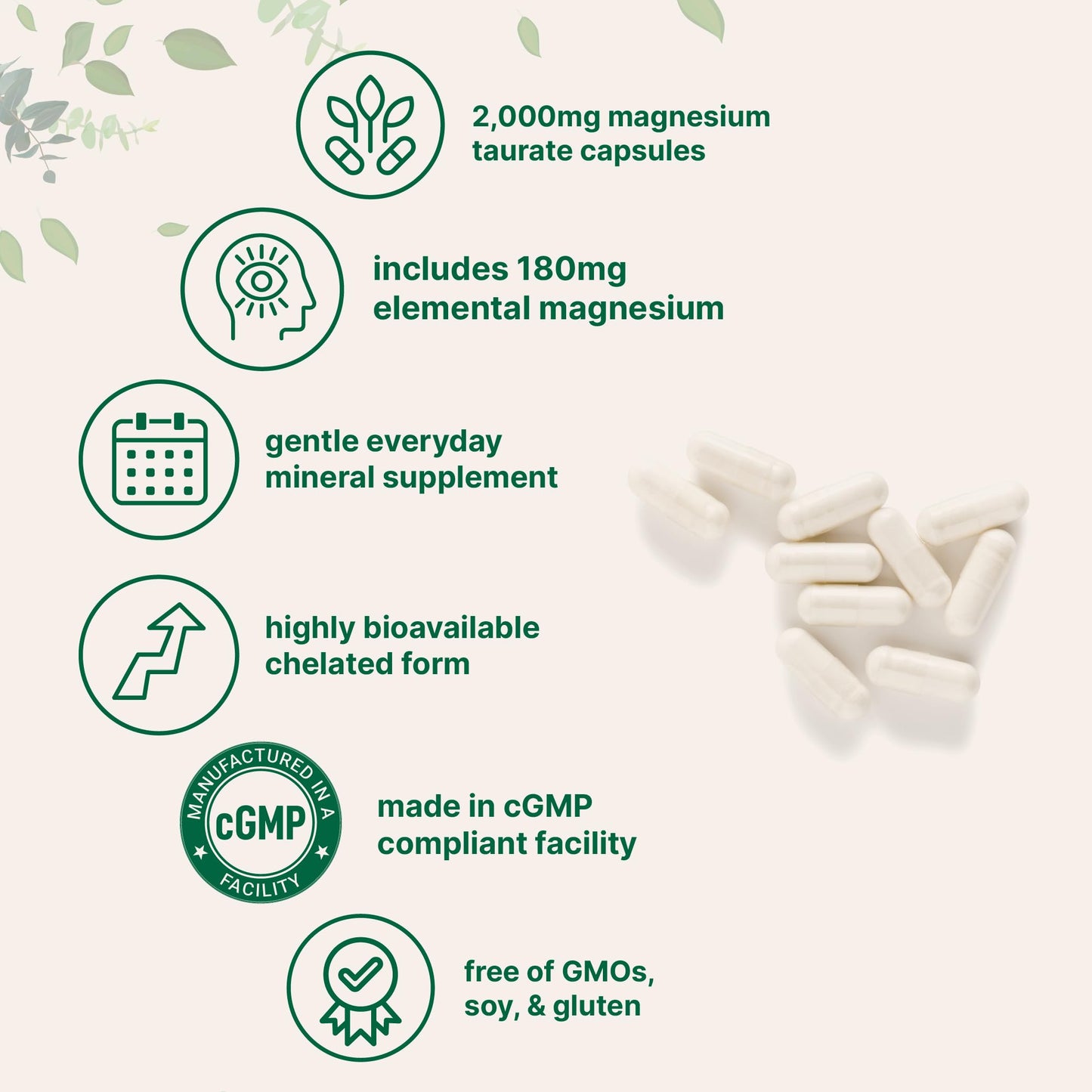 Micro Ingredients Magnesium Taurate 2,000mg Capsules, 240 Count