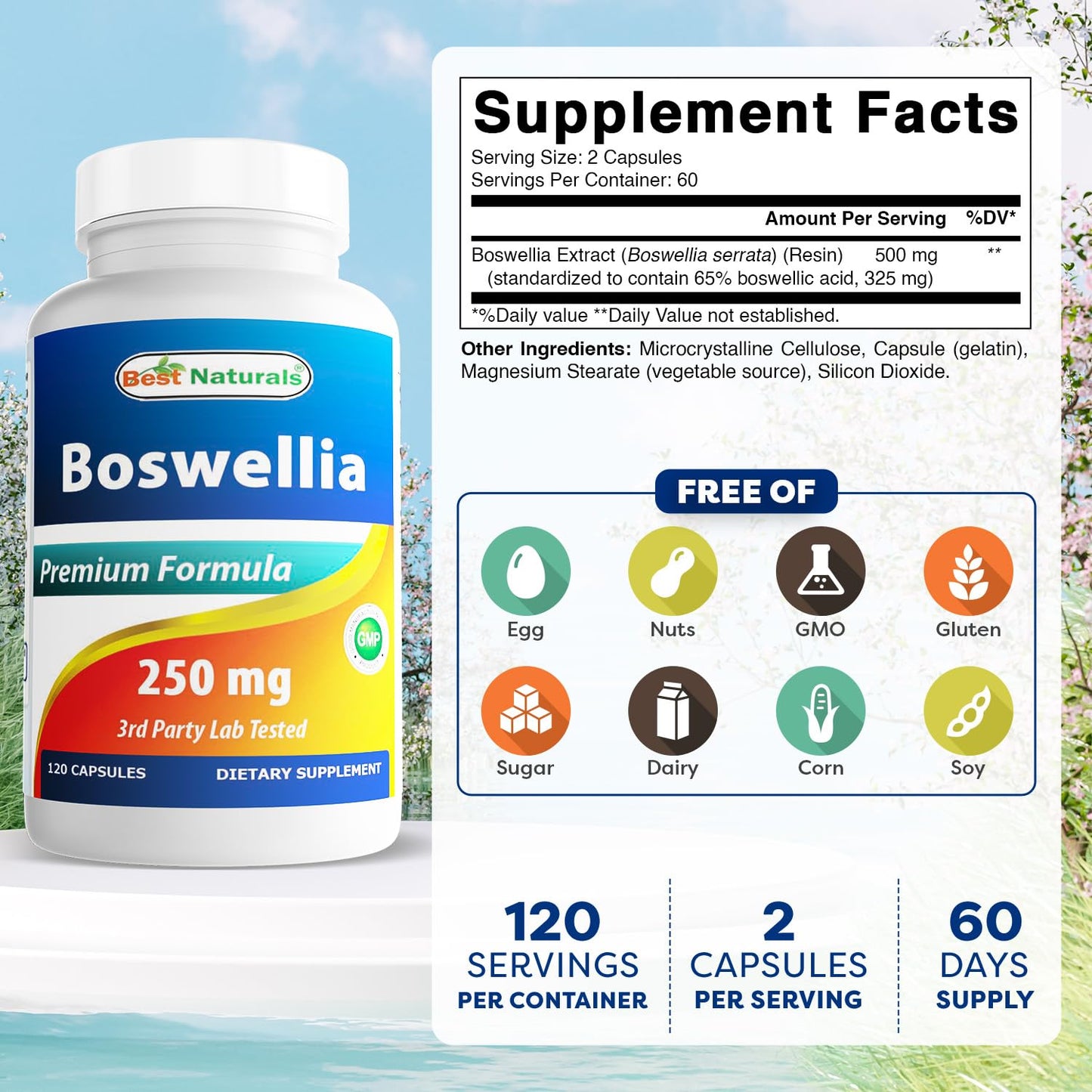 Best Naturals Boswellia Serrata Joint Health 250 mg Capsules, 120 Count