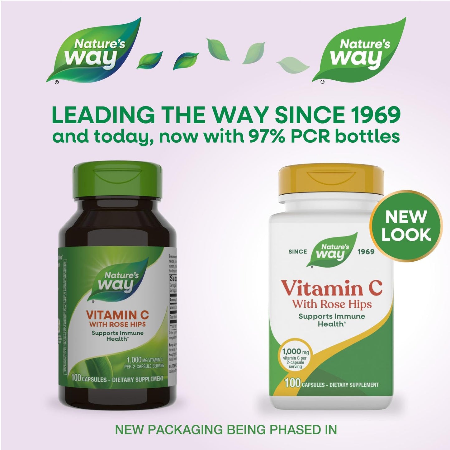 Nature's Way Vitamin C-500 with Rose Hips Capsule, 100 Capsules