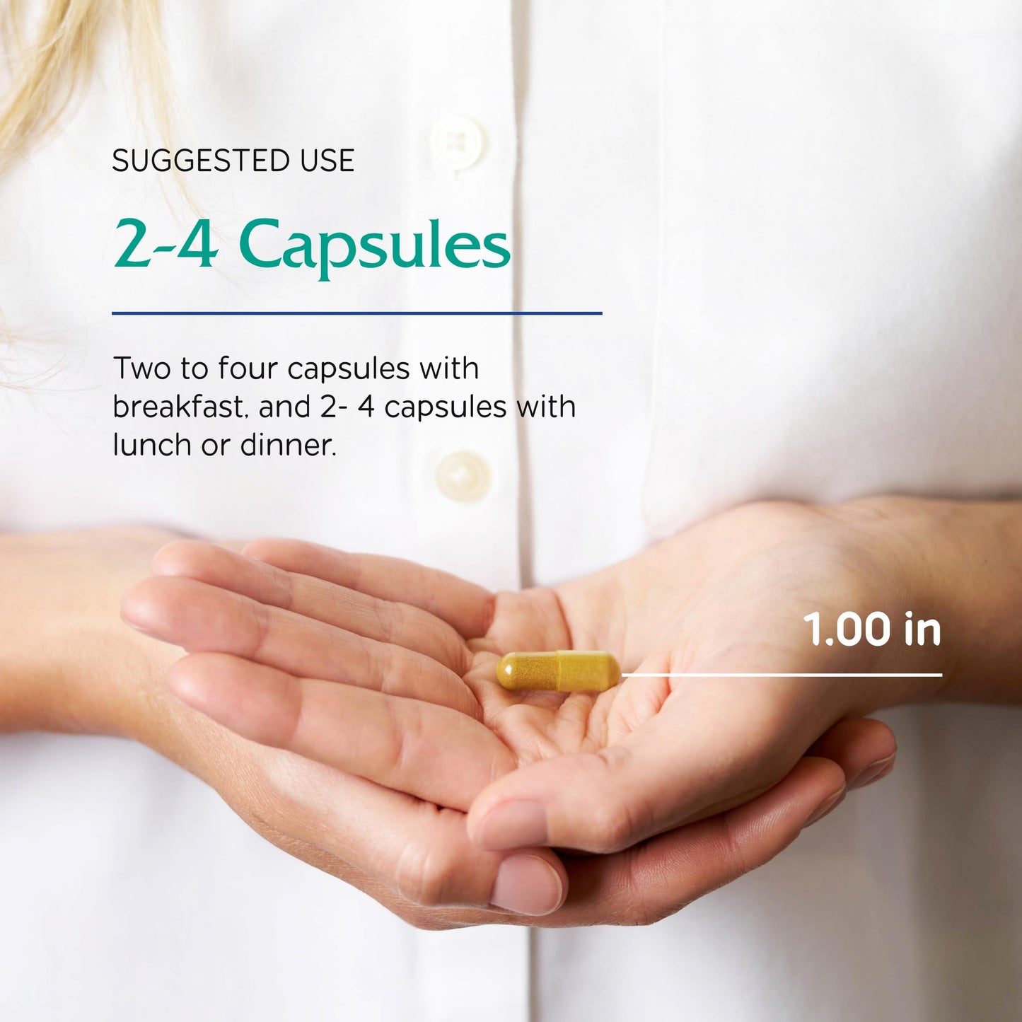 Vitanica Metabolic Manager Capsule, 120 Count