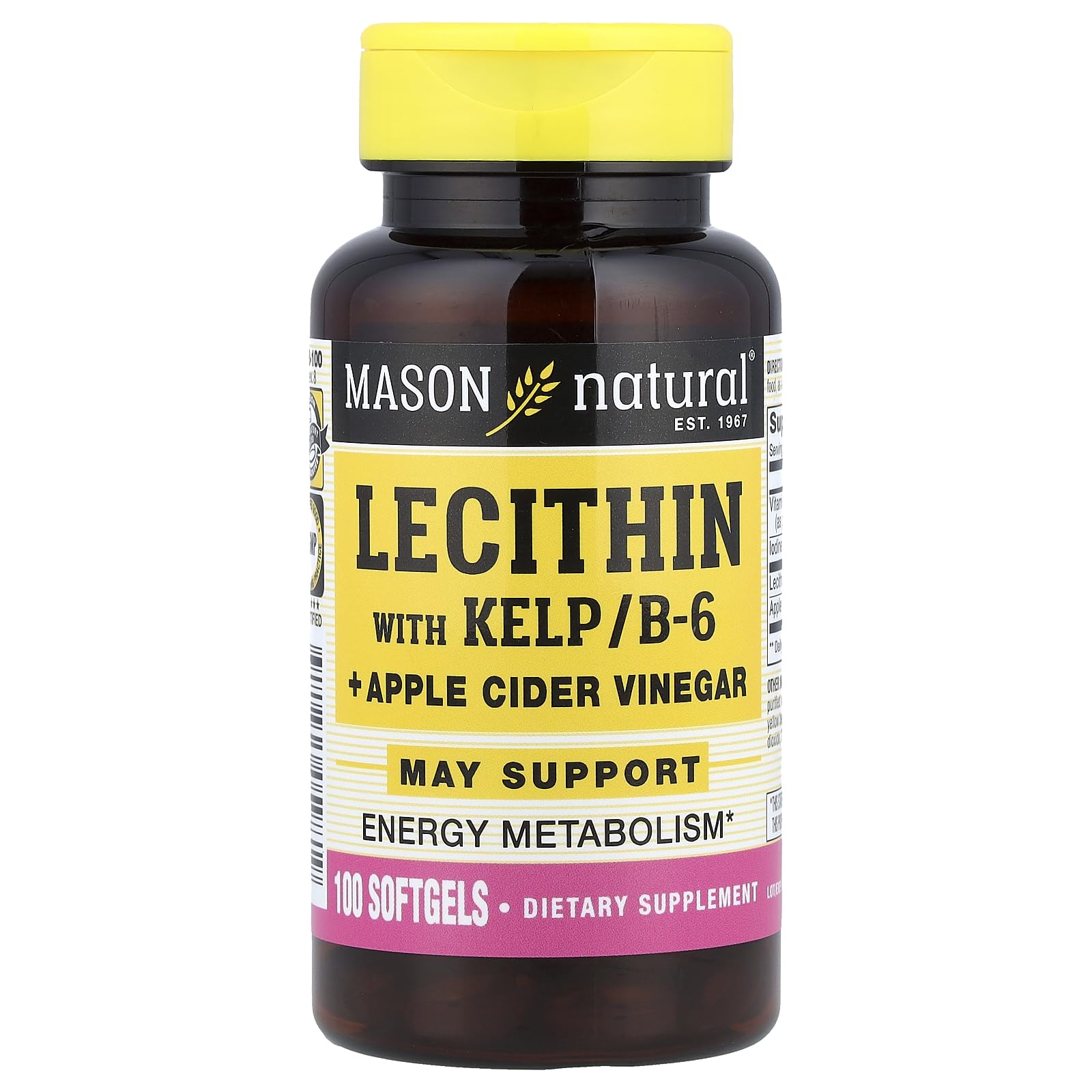 Mason Natural Lecithin with Kelp, B6 Plus Cider Vinegar Softgels 100 Count