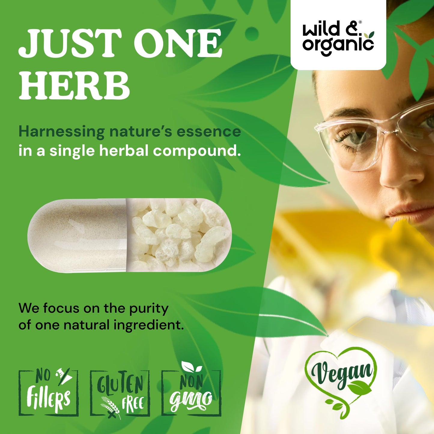 Wild & Organic Mastic Gum Capsules 90 Count