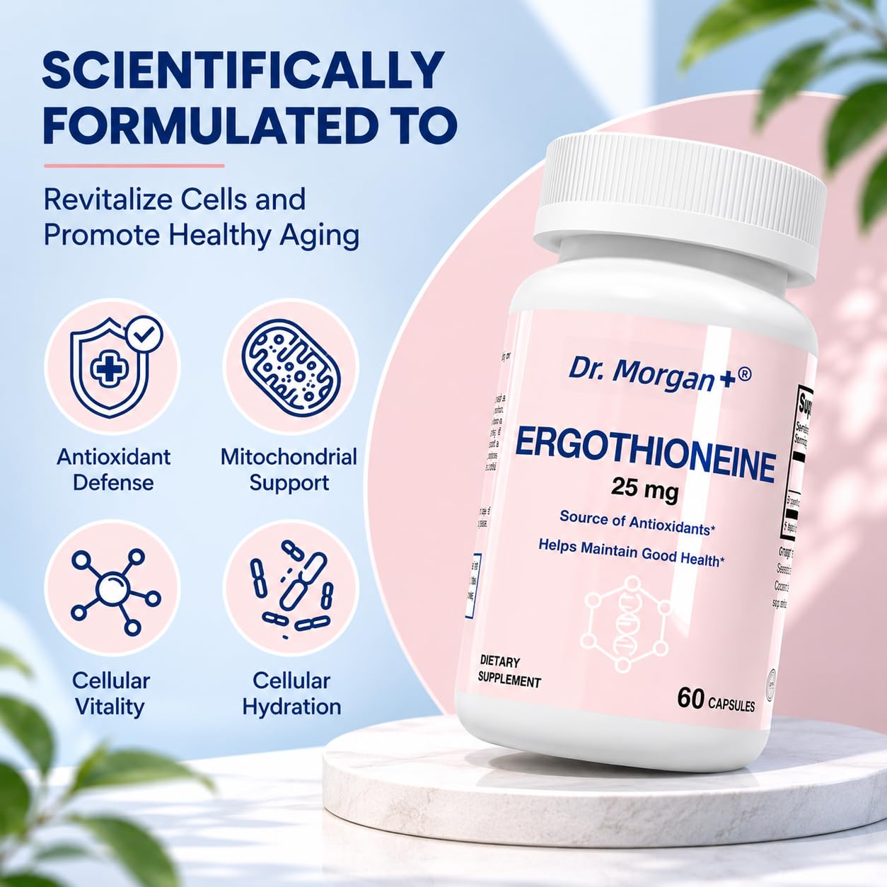 DR.MORGAN Ergothioneine Supplement (EGT) 25mg, 60 Capsules