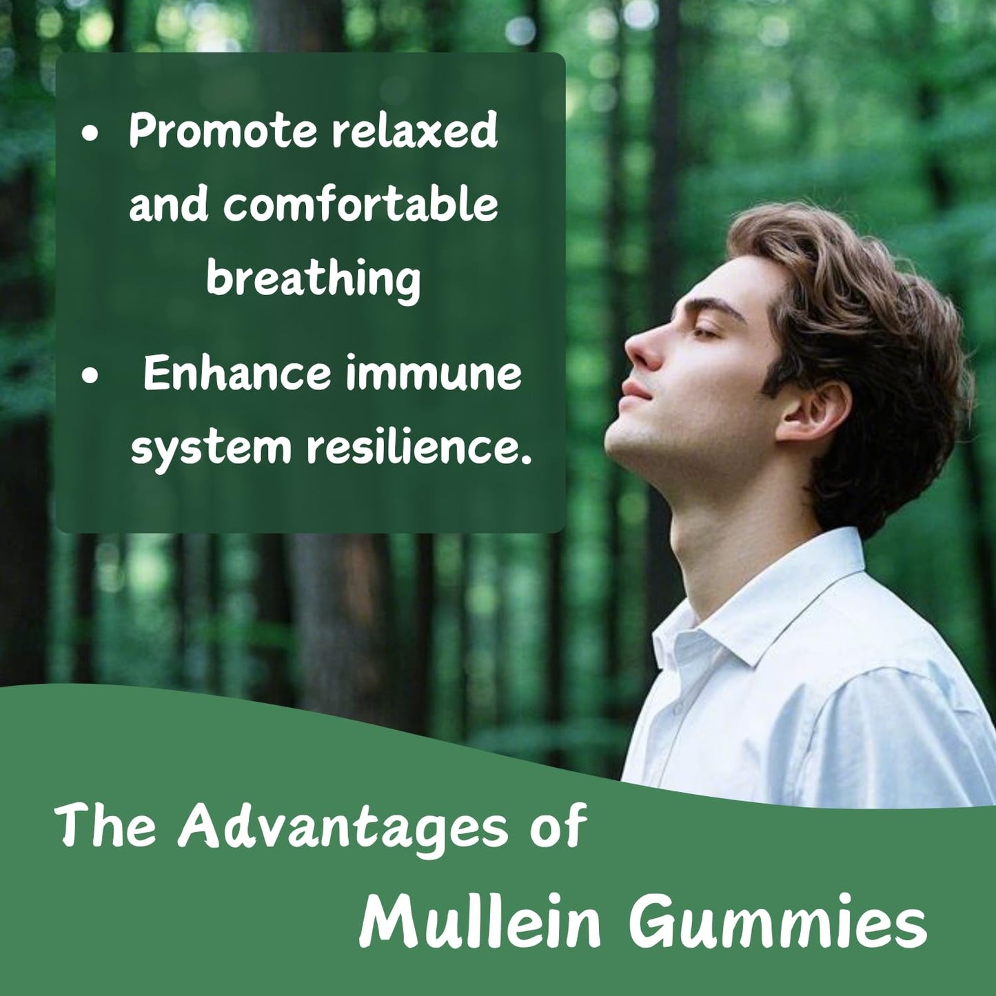 Putaojun Organic Mullein Gummies for Lungs, 2000mg Mullein Leaf Extract with Quercetin & Bromelain, Mango Flavor, Sugar-Free, Vegan, 60 Count