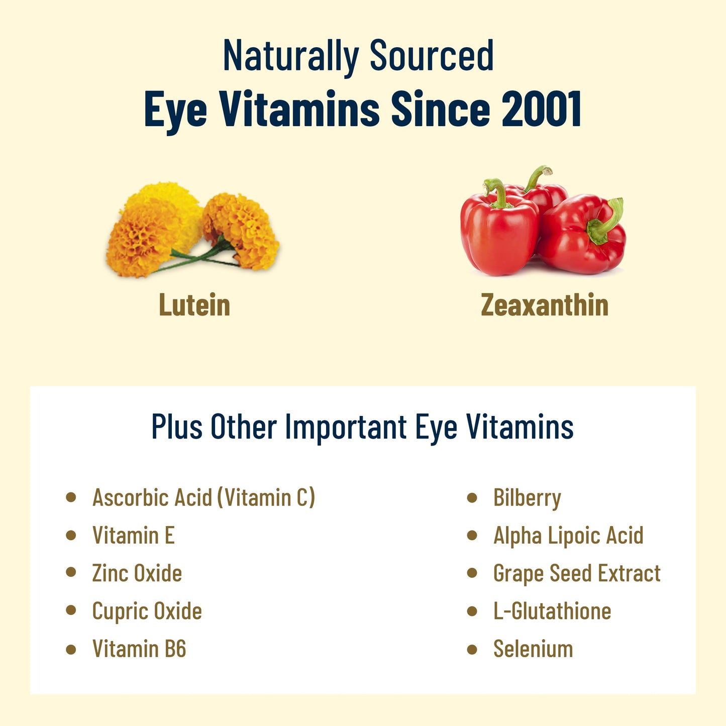 VisiVite AREDS 2 Plus Eye Vitamins with Zeaxanthin and Lutein, Bilberry and Grape Seed Extract, Premium Eye Health Formula, Capsules, 60 Count