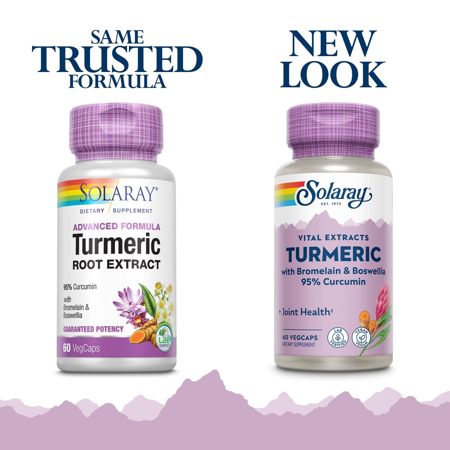 SOLARAY Turmeric Supplement with Bromelain and Boswellia 95% Curcumin Capsules 60 Count