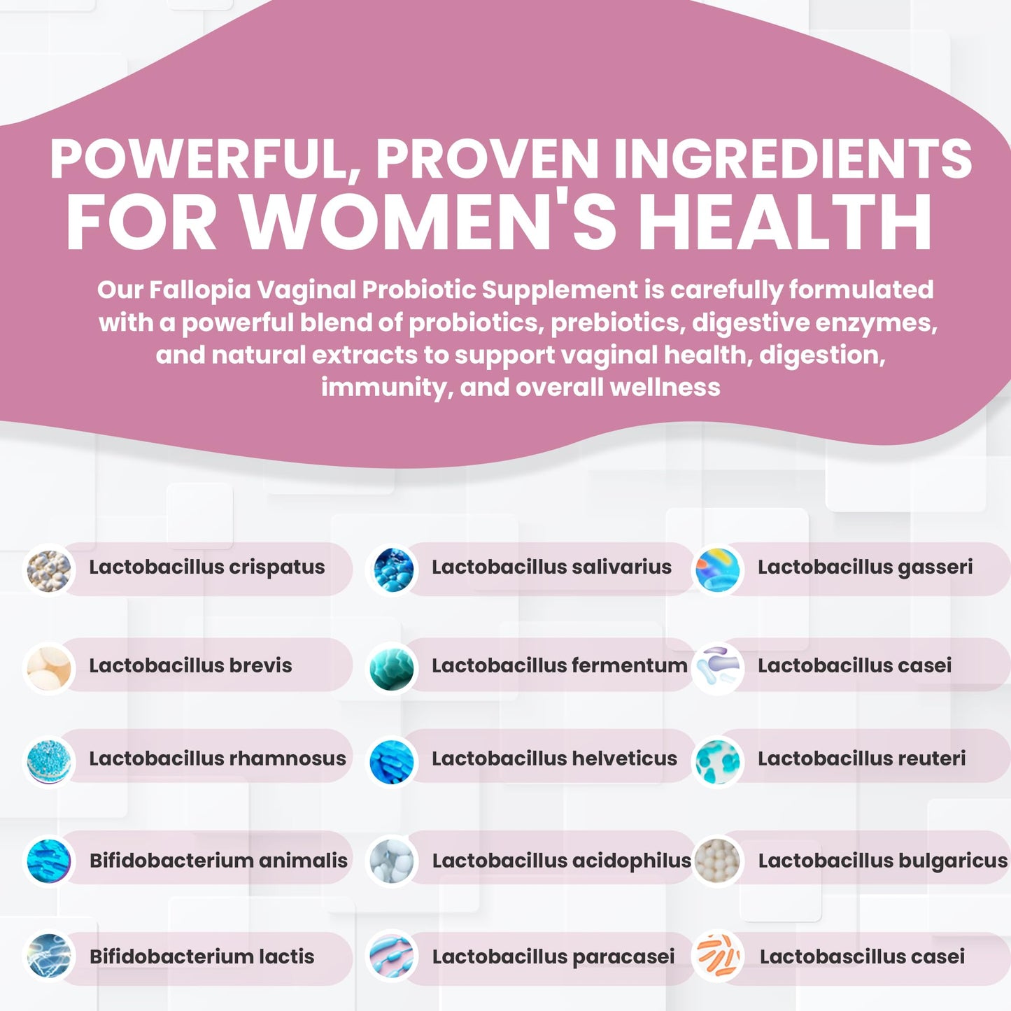 Fallopia Vaginal Probiotics for Women with Prebiotics Cranberry D-Mannose Digestive Enzymes & Hibiscus 34 Strains 100 Billion CFU Feminine Care Supplement for Gut Urinary Health & pH Balance Capsule 60 Count