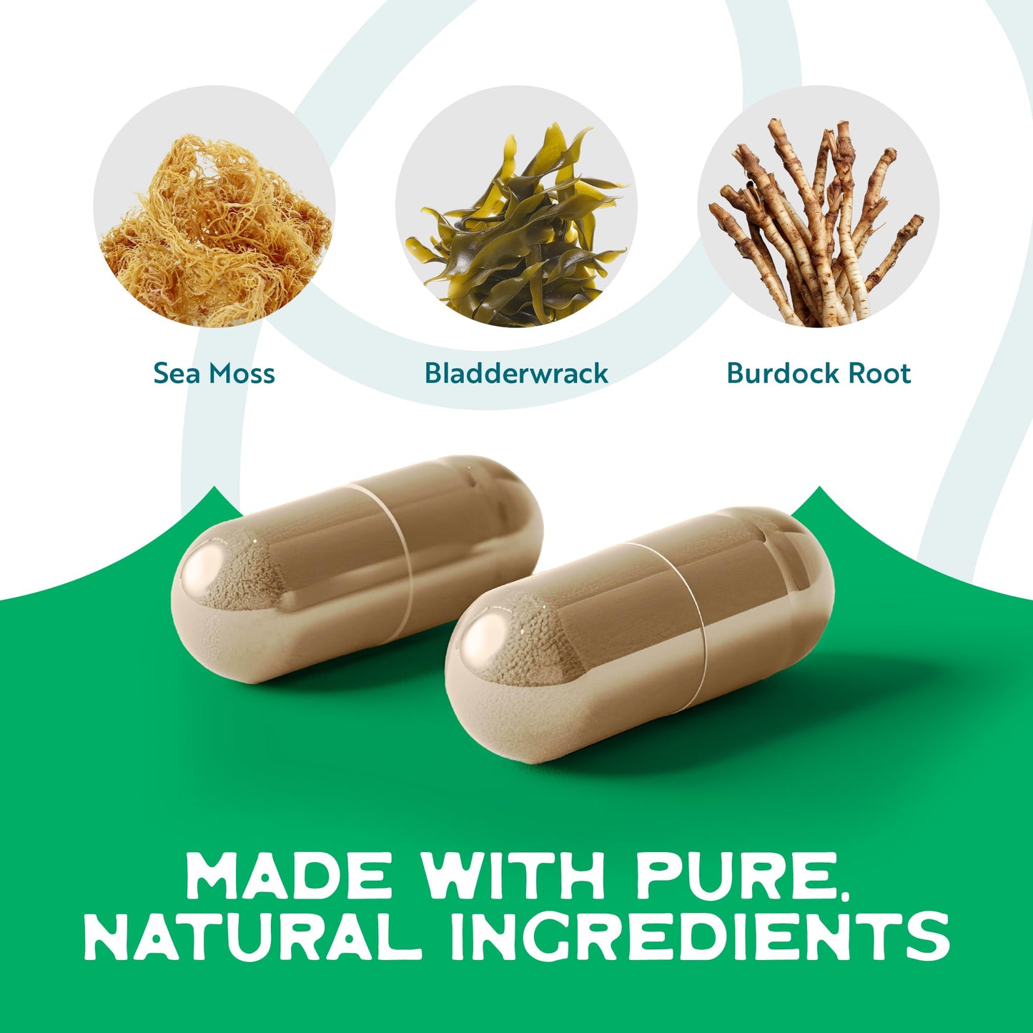 Herbal Vineyards Organic Wildcrafted Vegetable 60 Capsules