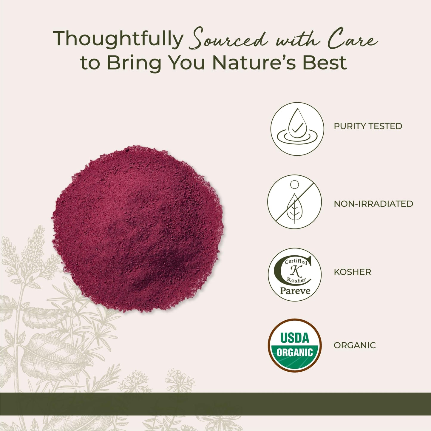 Starwest Botanicals Organic Beet Root Powder, 32 Ounce