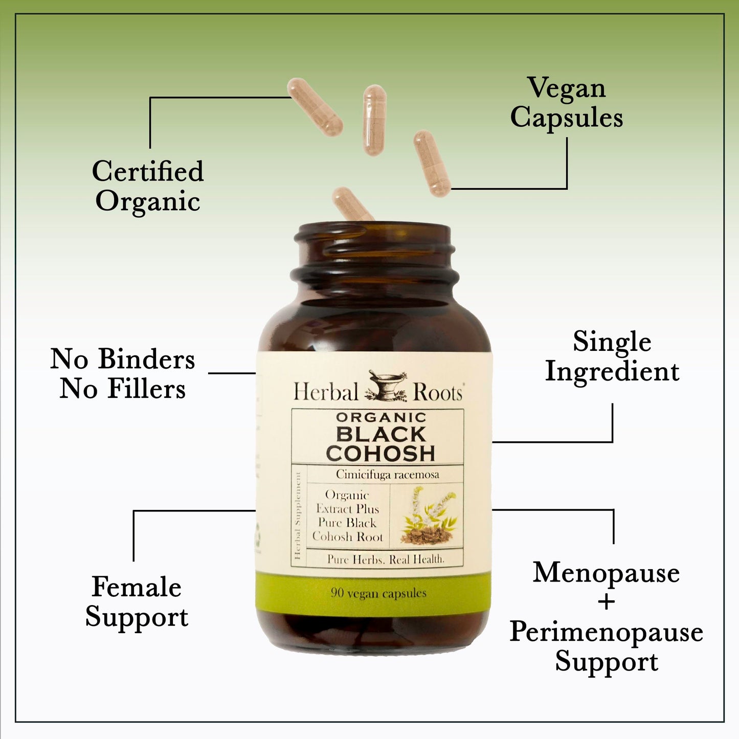 Herbal Roots Organic Black Cohosh Root Capsules Vegan Capsules, 60 Count