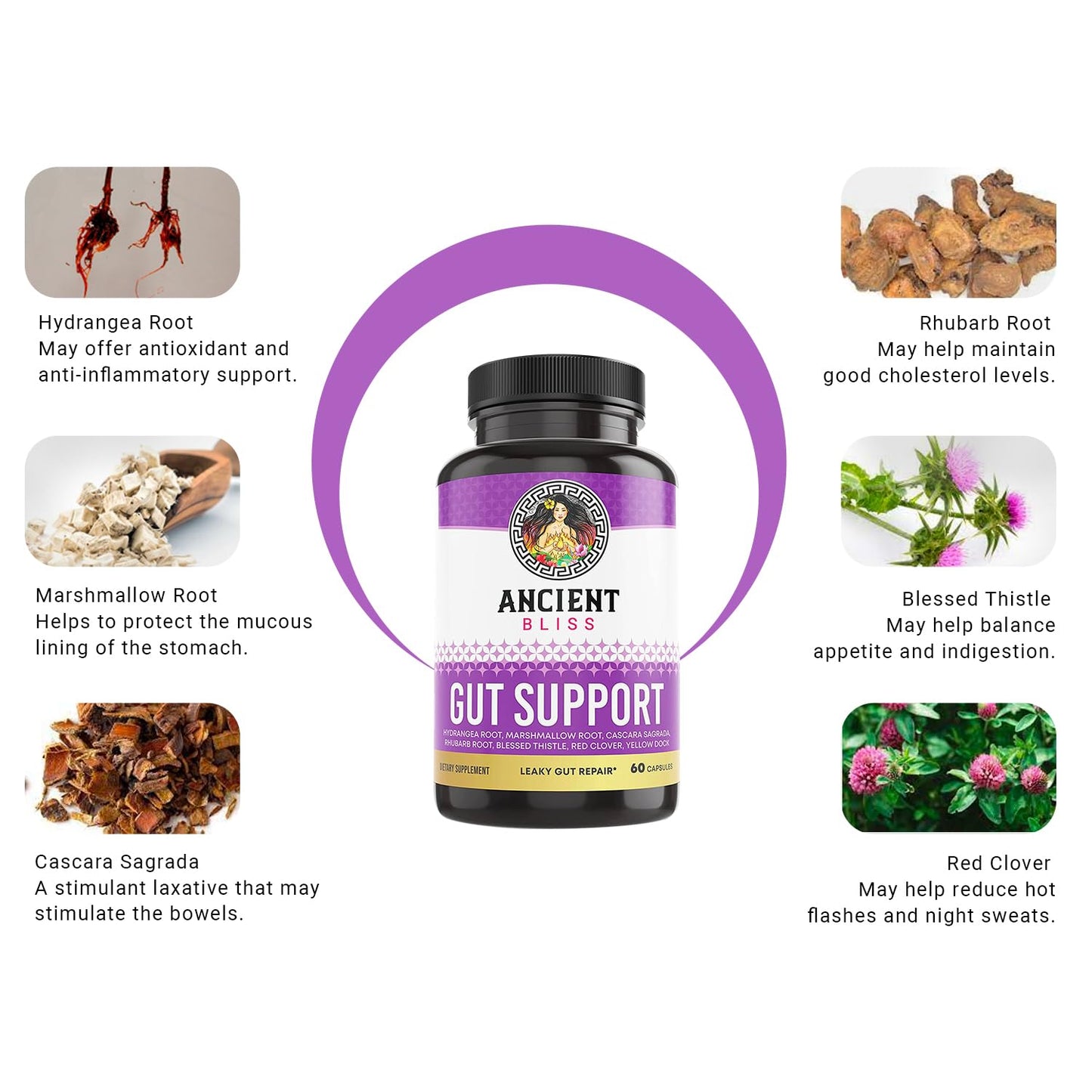 Ancient Bliss Leaky Gut L-Glutamine Capsules for Gut Support with Blessed Thistle and Hydrangea Root, 60 Capsules