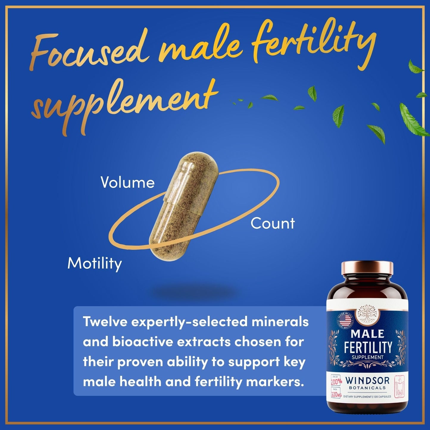 Windsor Botanicals Fertility Supplements for Men Prenatal Vitamins 240 Capsules