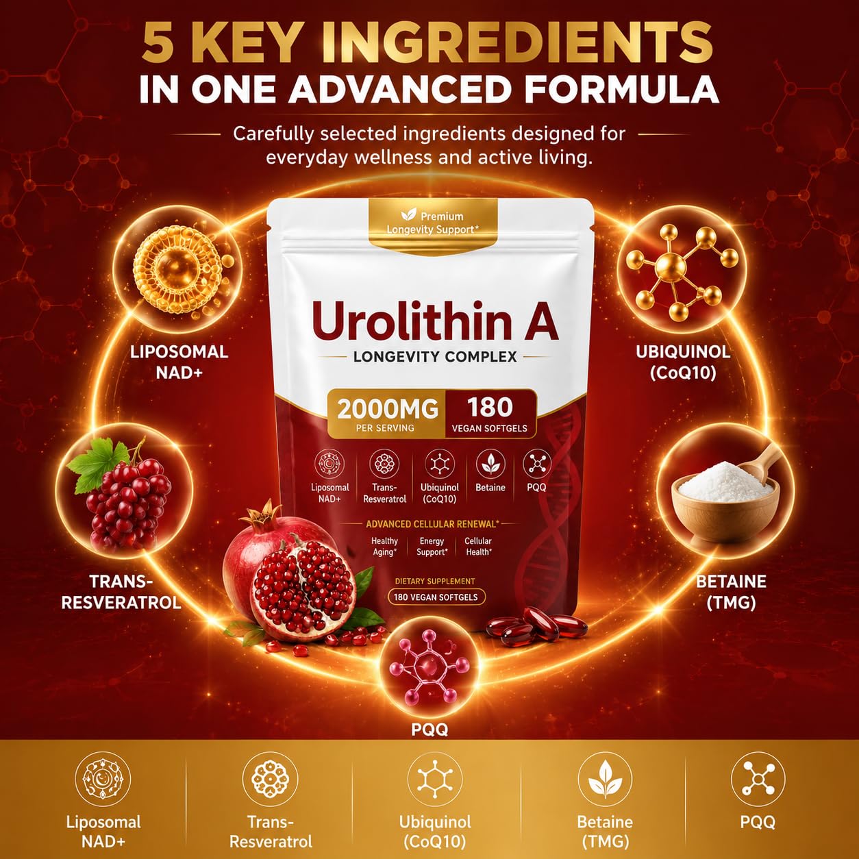 FINDING FERDINAND Urolithin A Supplement with Liposomal NAD+, Trans-Resveratrol, 12-in-1 Formula Softgels 180