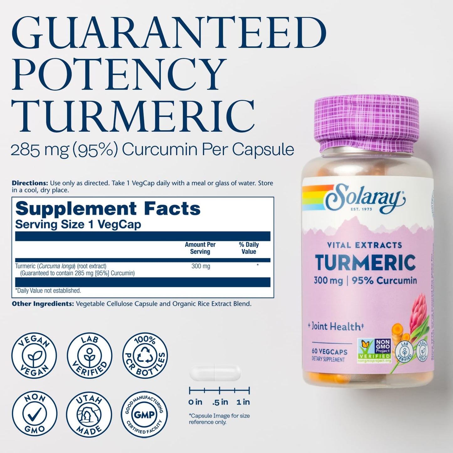SOLARAY Turmeric Supplement 300 mg Turmeric Root Extract with 95% Curcumin Joint Support Capsules 60 Count