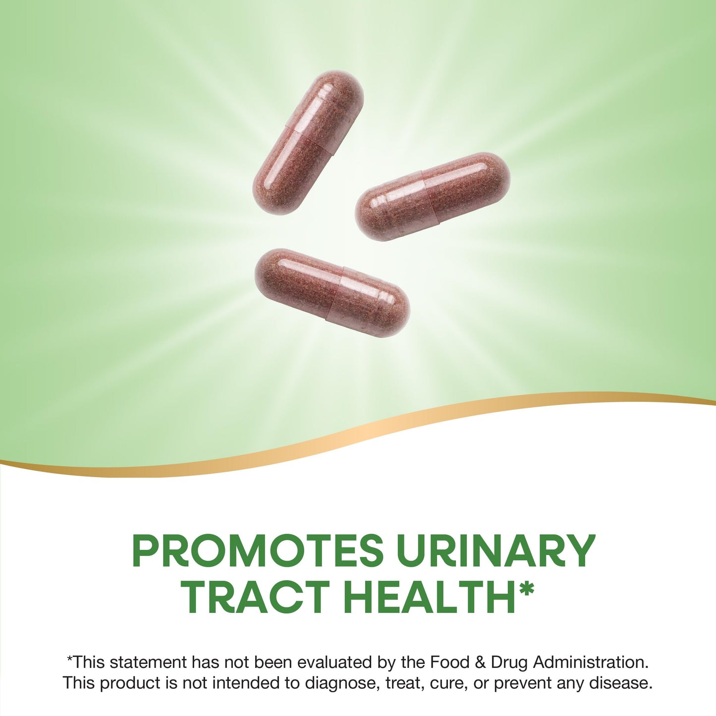 Nature's Way Urinary with Cranberry Premium Blend Capsules 100 Count