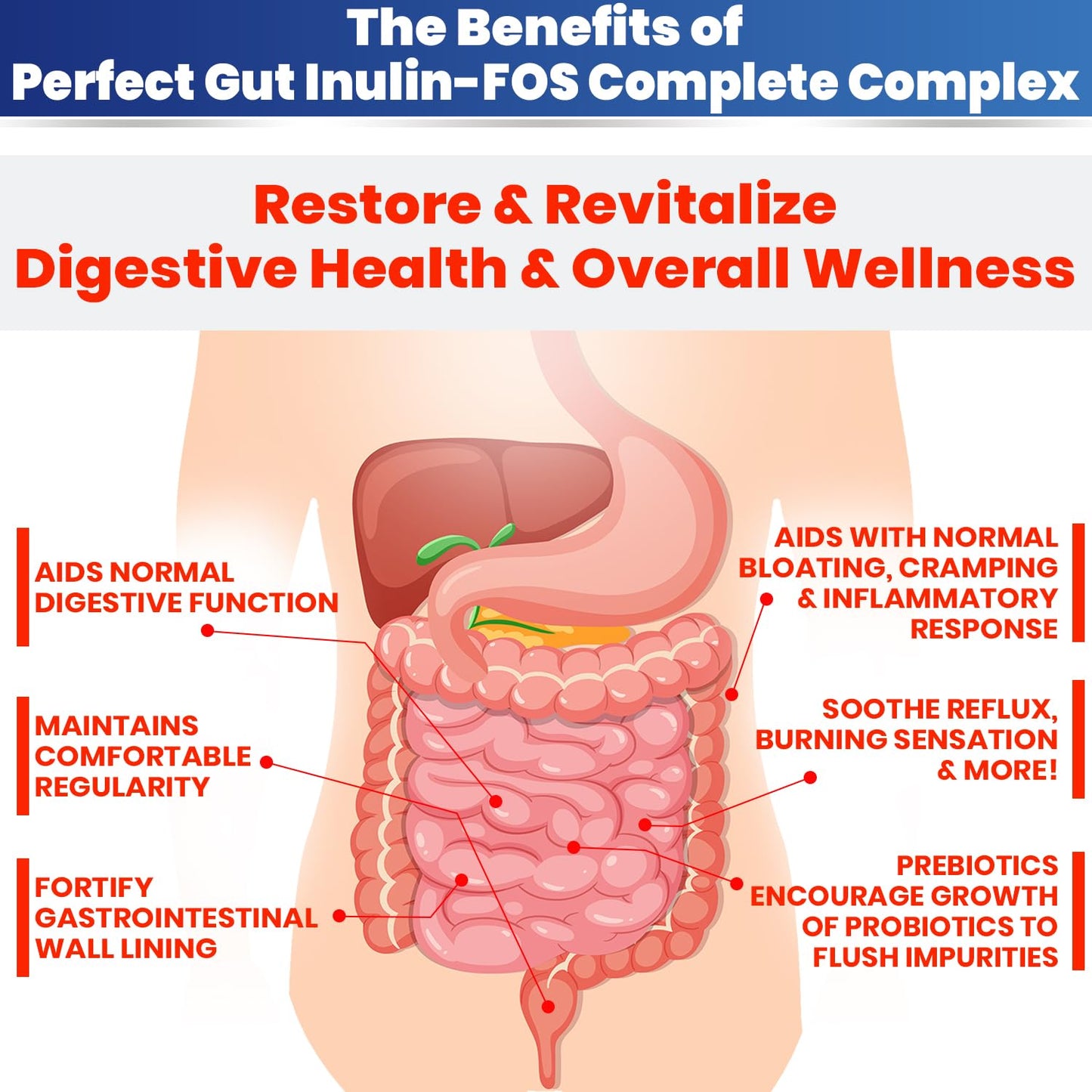 Kidney Restore Perfect Gut Inulin FOS Powder, 32