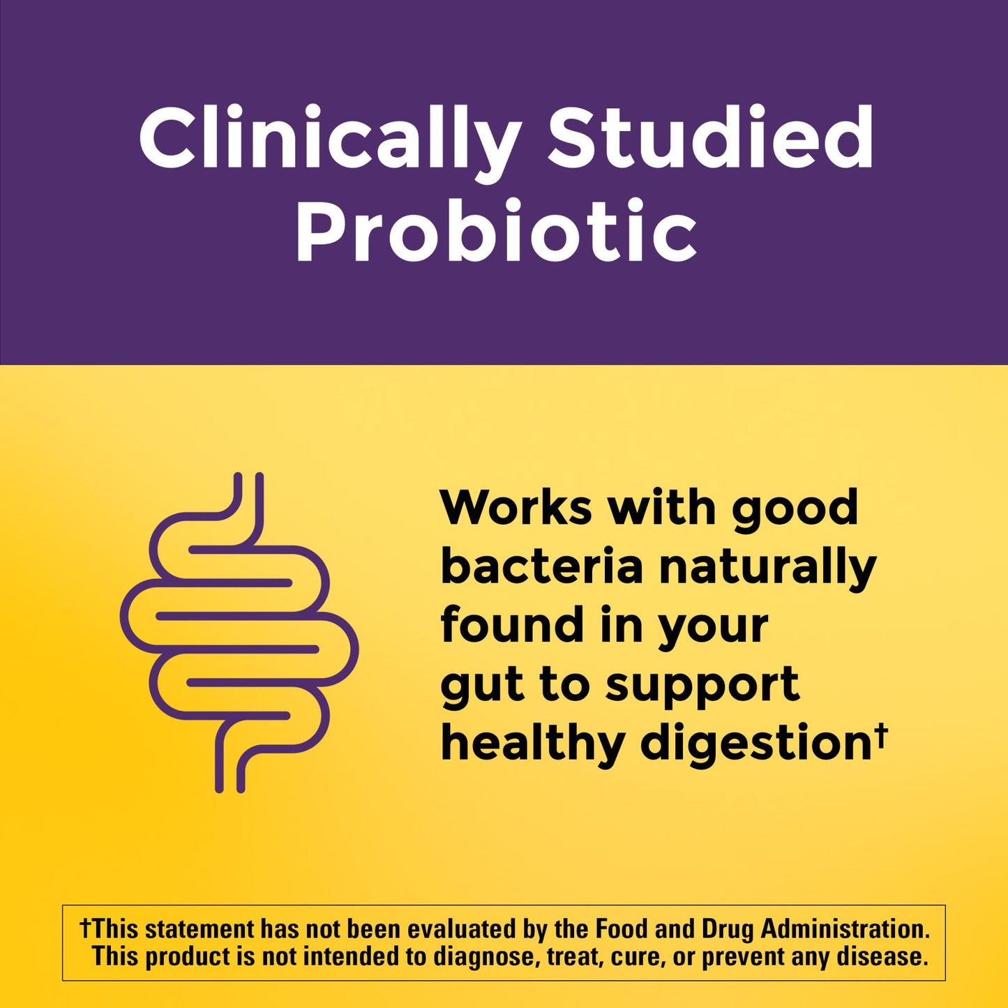 Nature Made Probiotics Extra Strength Dosage Gummies 42 Count