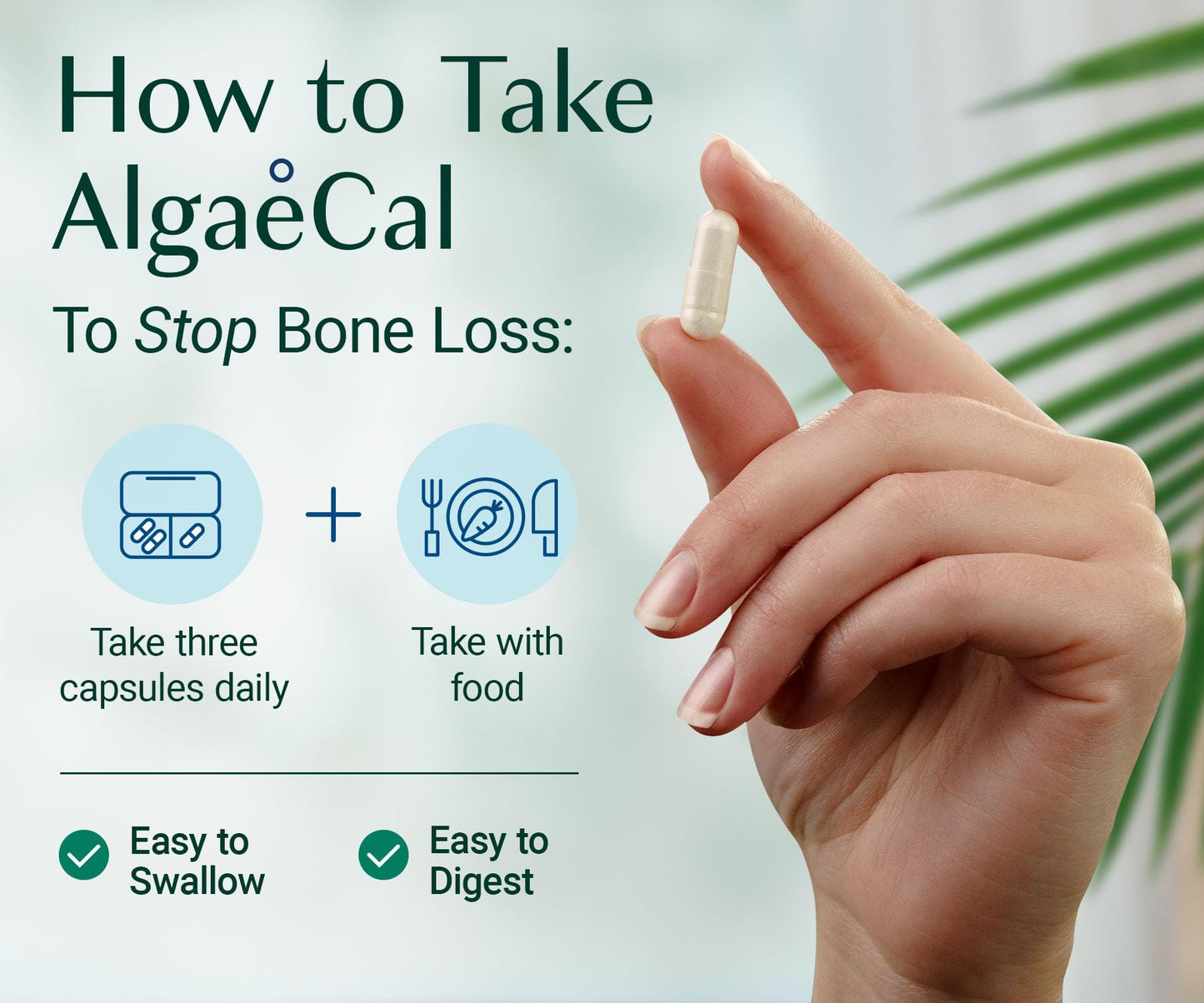 ALGAECAL Plant Based Calcium Supplement for Women & Men - Organic Calcium 750mg with Vitamin D3 1000 IU, 13 Minerals for Bone Strength, Bone Health Support, 270 Capsules