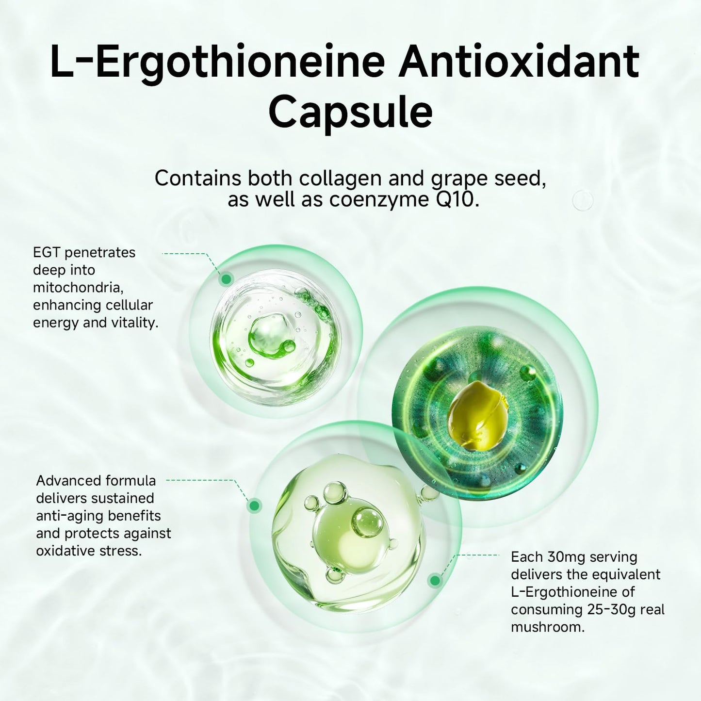 ONOTIC Ergothioneine Supplement 30mg EGT Capsules, 90 Capsules