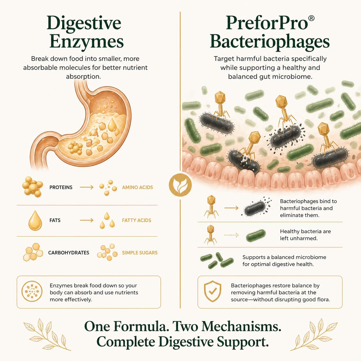 VESALIX Advanced Digestive Complex PreforPro® + 18 Enzymes + 3 Billion CFU Probiotics Capsules, 60 Count