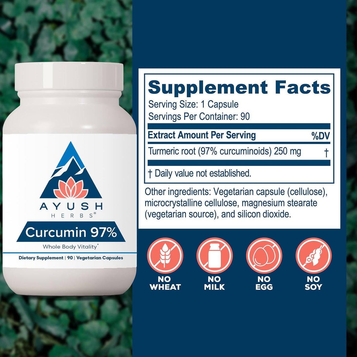 Ayush Herbs Curcumin 97% Curcumin Supplements Capsules 90 Count