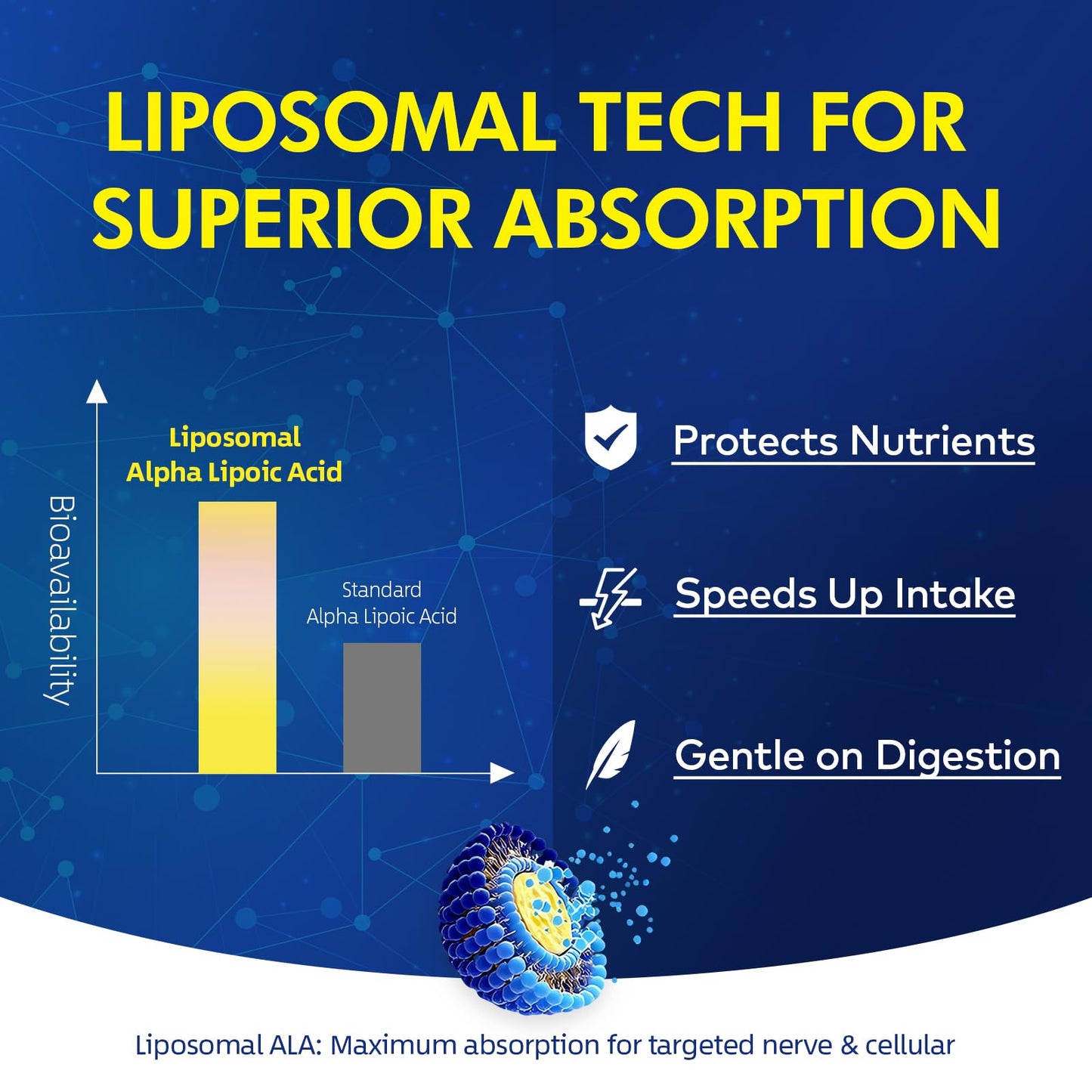Your Nutritionist Liposomal Alpha Lipoic Acid 1000mg Capsule, 60 Count