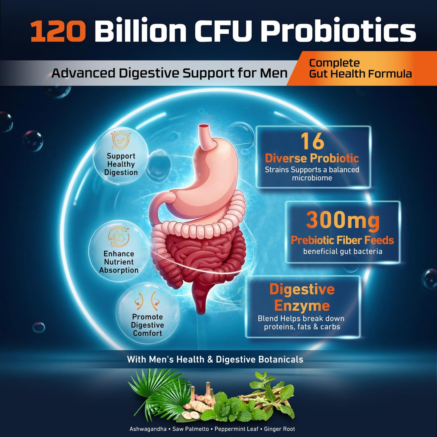 Hovika Probiotics for Men 120 Billion CFUs, 16 Strains, Capsule, 90 Capsules