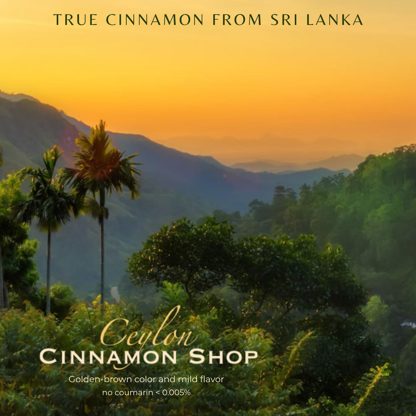Ceylon Cinnamon Shop CinnaGuard Organic Ceylon Cinnamon Capsules, Capsule, 120 Count
