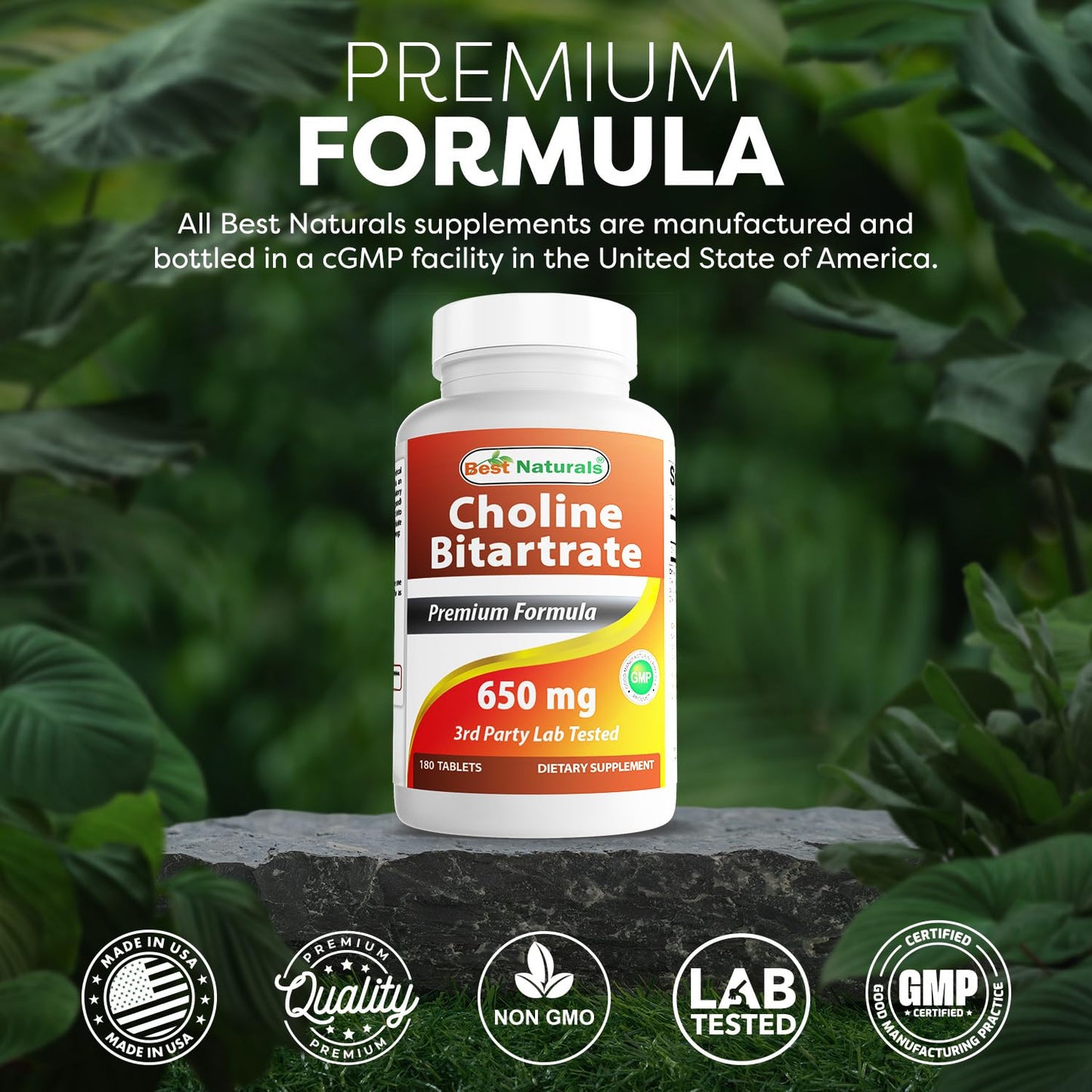 Best Naturals Choline Bitartrate 650 mg (Non-GMO) for Healthy Cognitive Brain Function, 180 Tablets