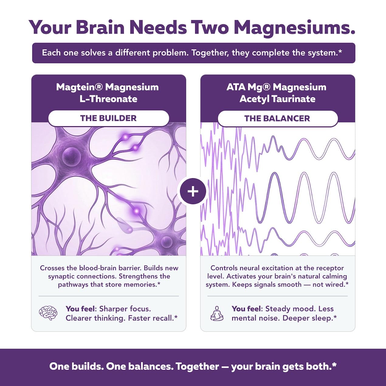 Triquetra Health Mental-Mag Magtein + ATAMg Dual-Pathway Cognitive Support Magnesium L-Threonate Complex Capsule, 90 Count