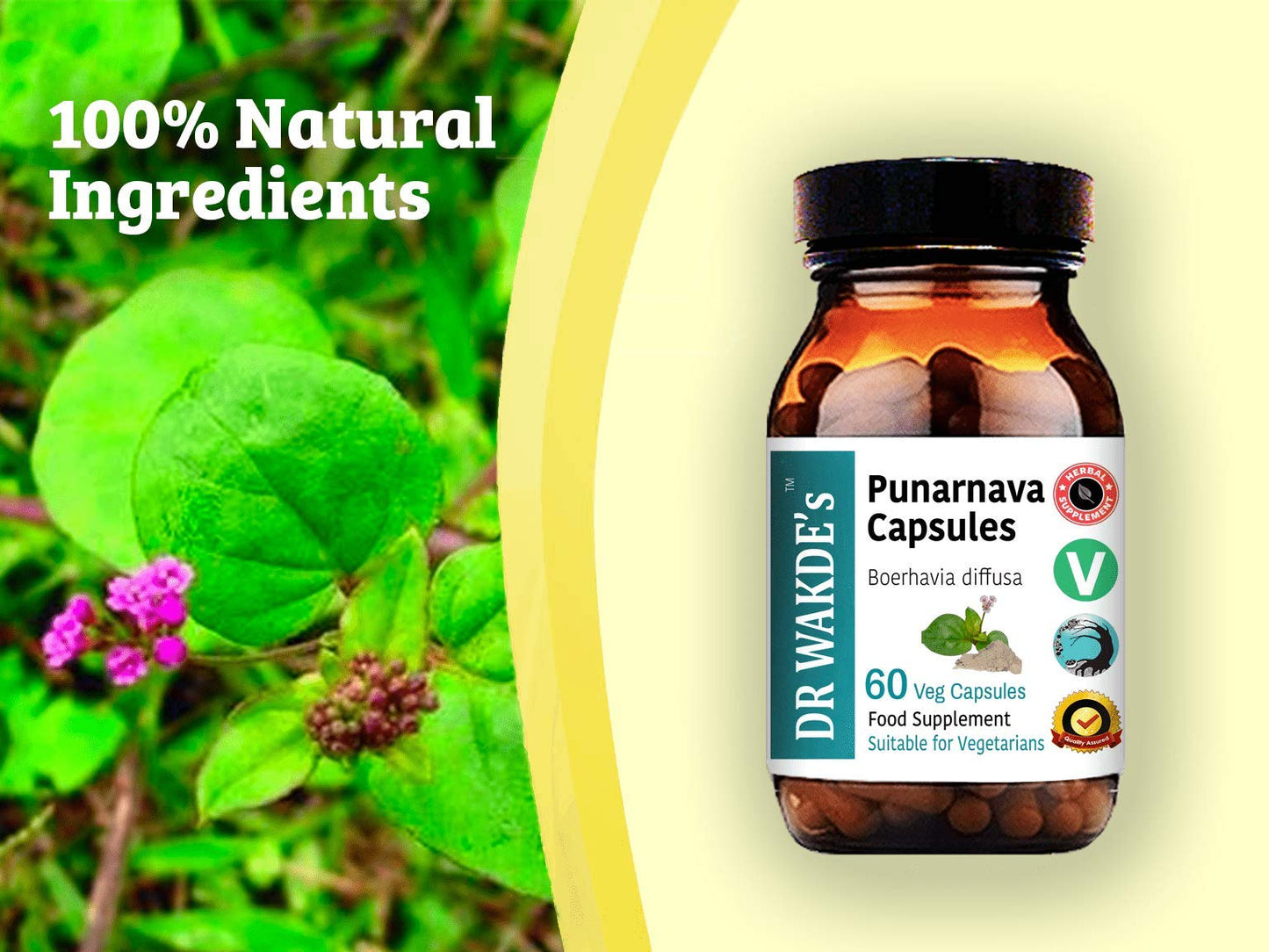 DR WAKDE'S Punarnava Capsules, 1 Count