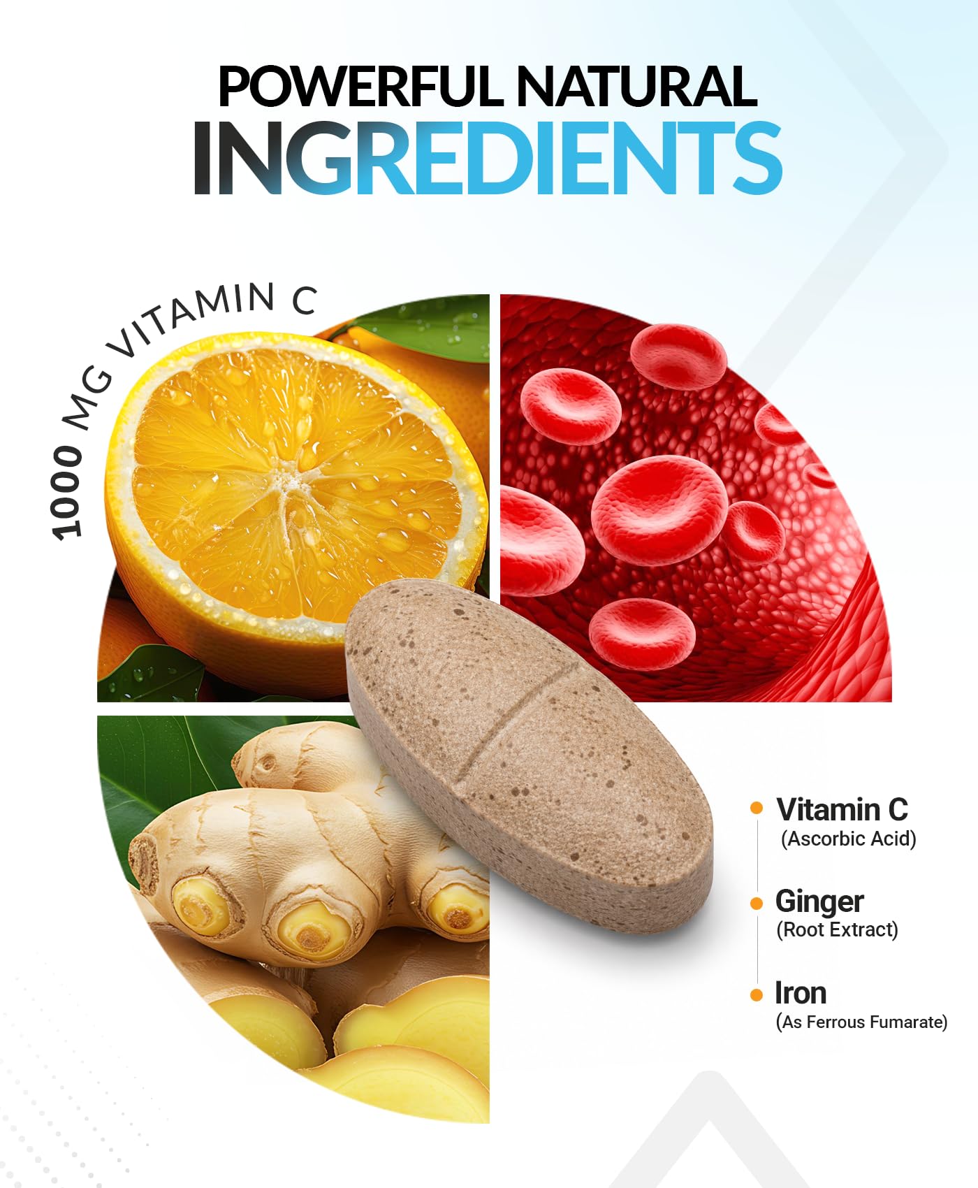 Extravagant Value Immune Support Supplement for Men and Women 150 Tablets