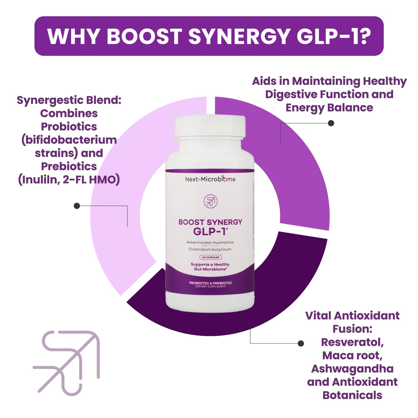 NEXT-MICROBIOME Boost Synergy Probiotic Akkermansia Muciniphila, Clostridium Butyricum HMO Ashwagandha Capsules 60 Count