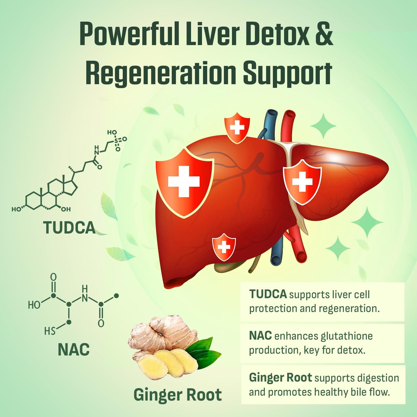ThrivyThystle Liver Detox & Repair – 23-in-1 Herbal Liver Support Milk Thistle Supplement - TUDCA, NAC, Chanca Piedra, Artichoke, Beet Root – Supports Liver & Gut Health 60 Capsules