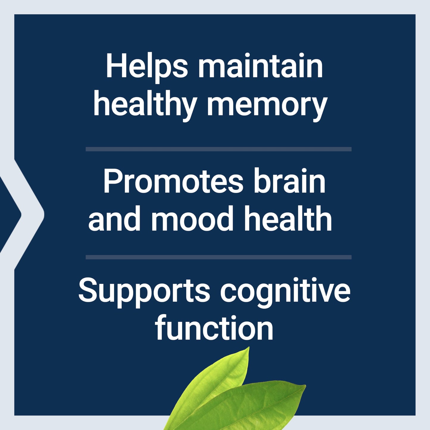 Life Extension Memory Protect, Lithium, Colostrinin Milk Peptides, Memory and Cognitive Health Support Capsules, 36 Count