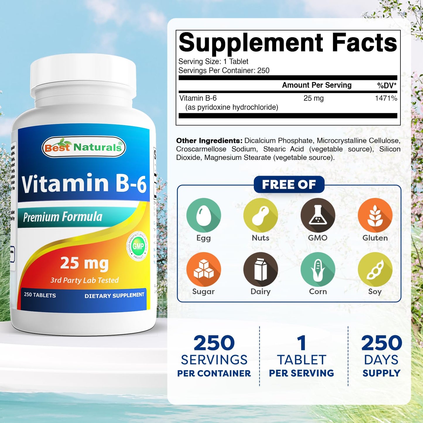 Best Naturals Vitamin B-6 25 mg Tablets, 250 Count