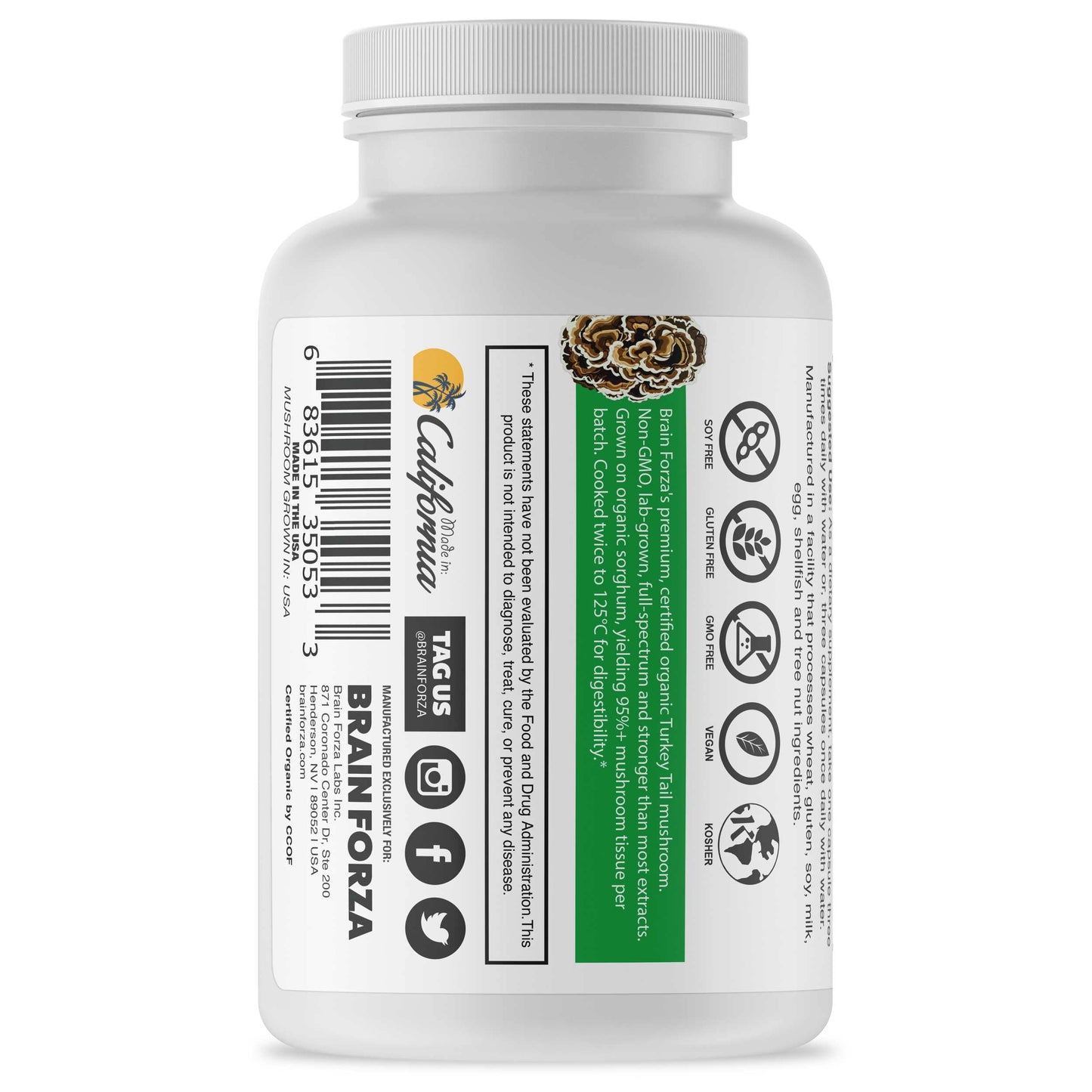 Brain Forza Organic Turkey Tail Mushroom Capsules, 90 Capsules