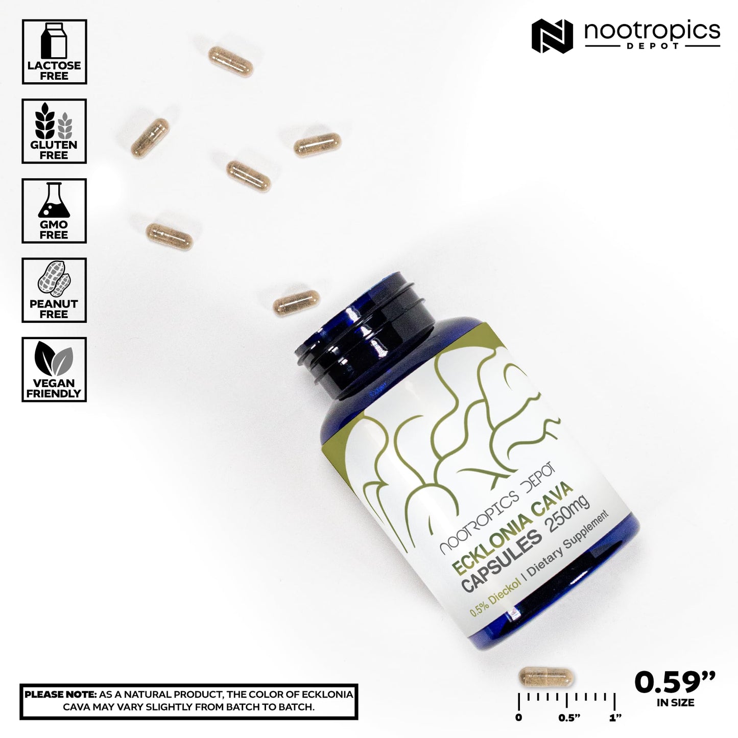 Nootropics Depot Ecklonia cava Capsules 60 Count