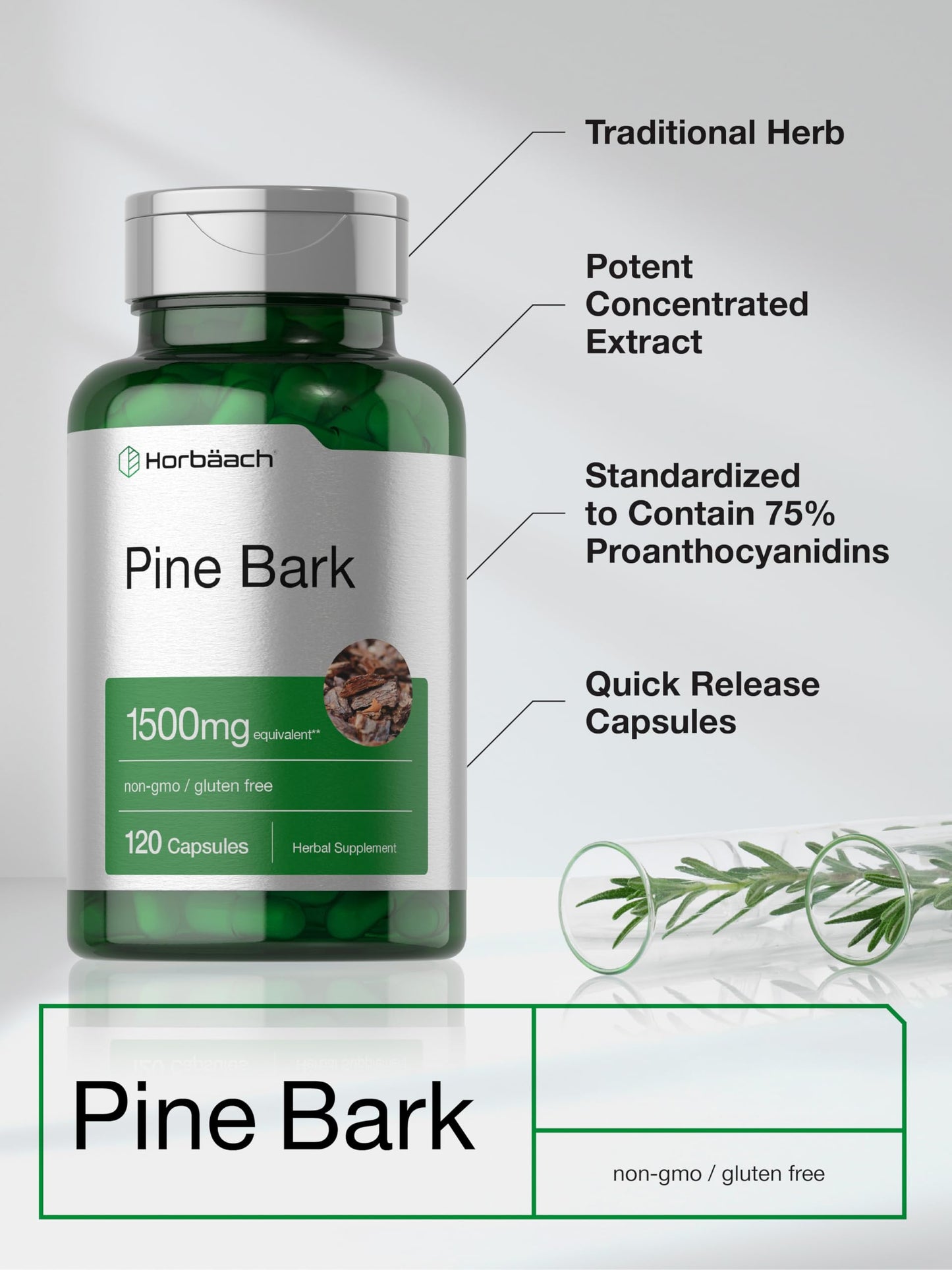 Horbäach Pine Bark Extract Capsules 120 Count