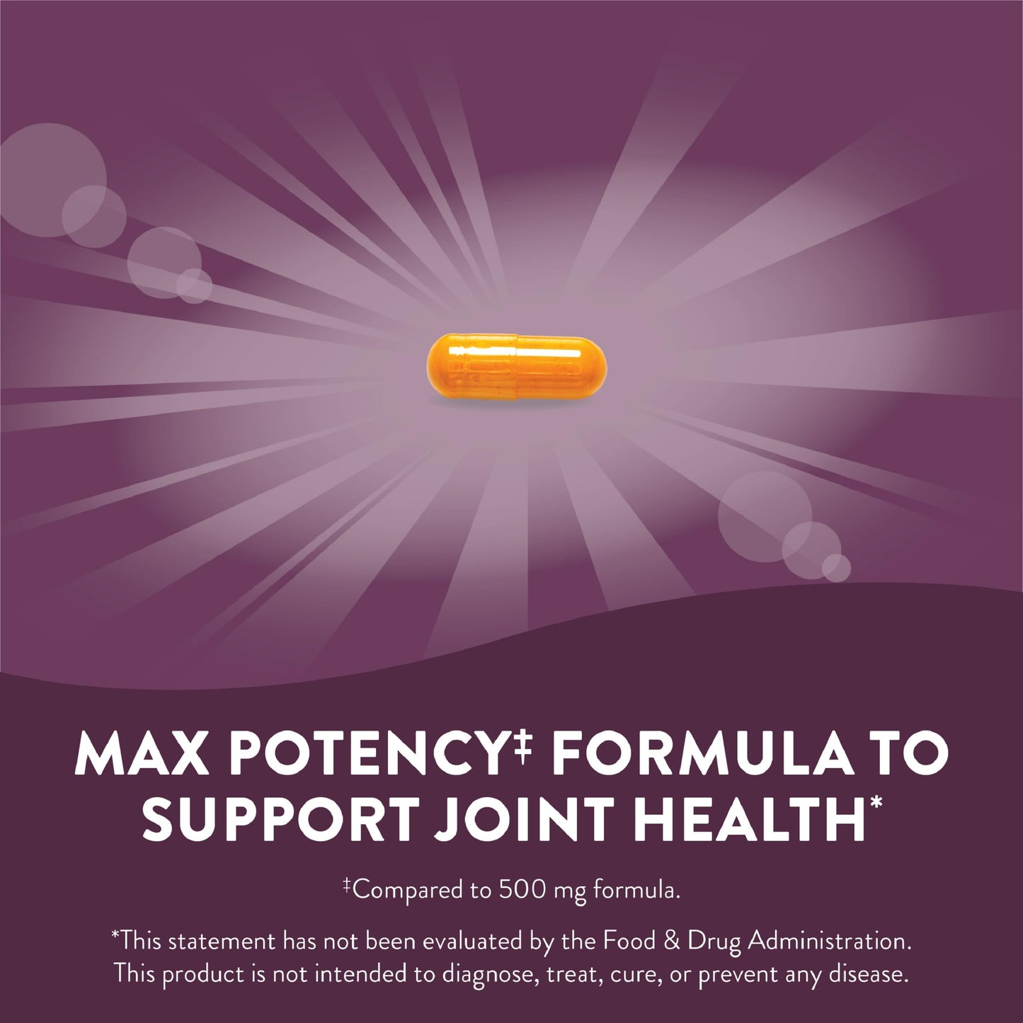 Nature's Way Turmeric Max Potency Premium Extract 120 Tablets