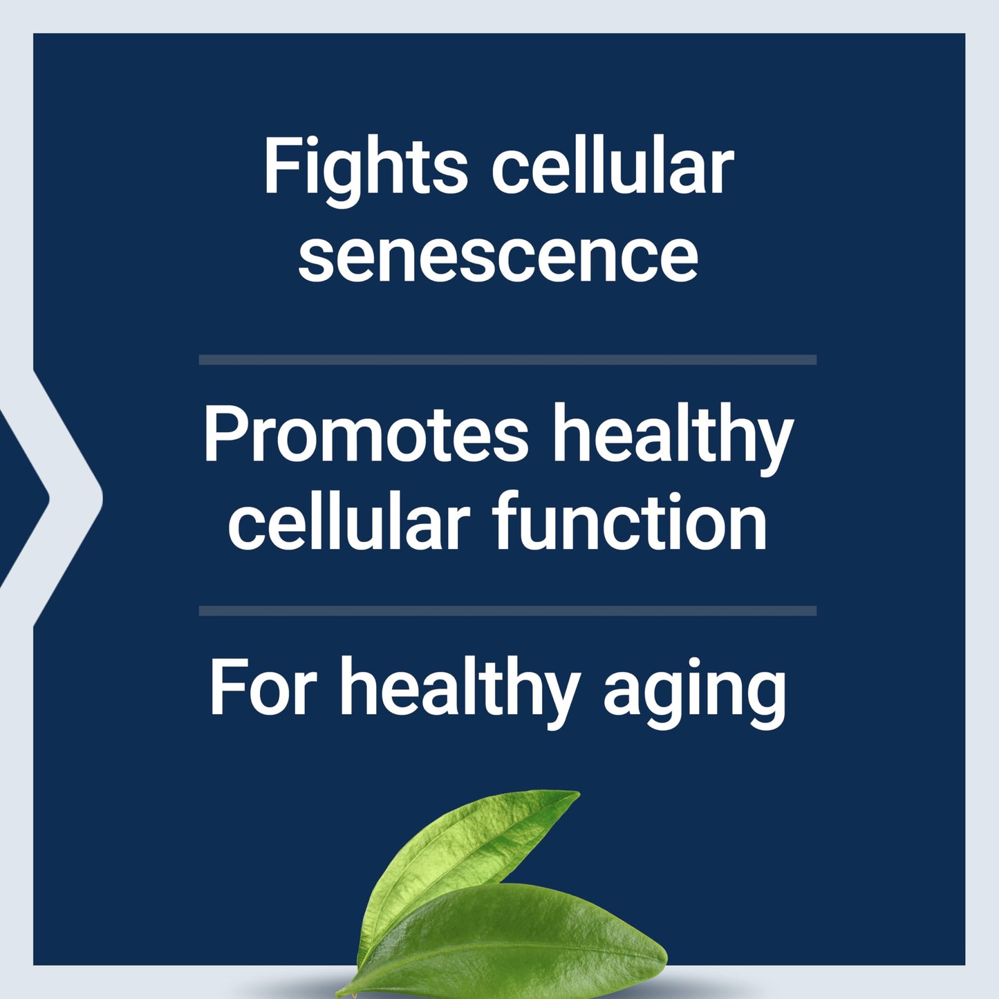 Life Extension GEROPROTECT Ageless Cell Softgels, 30 Count