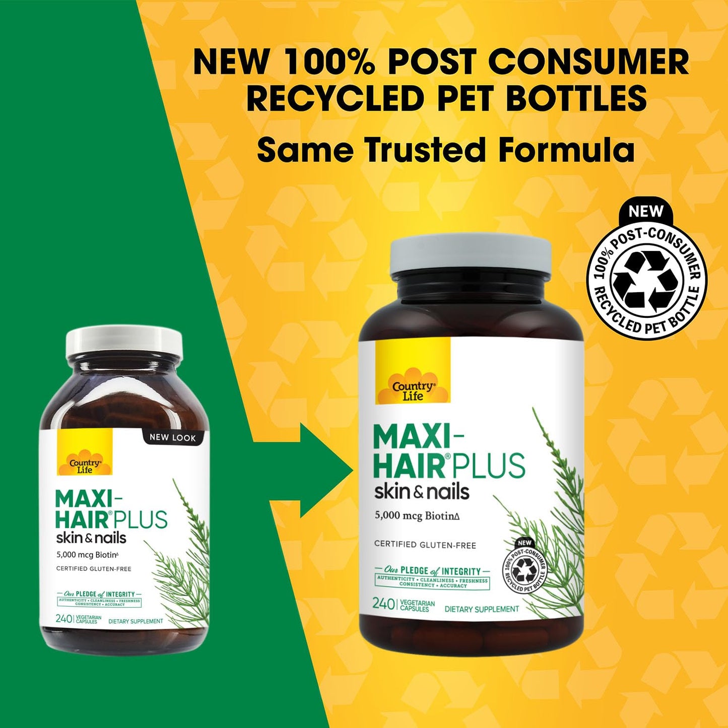 Country Life Maxi-Hair Plus Biotin Capsule 240 Count