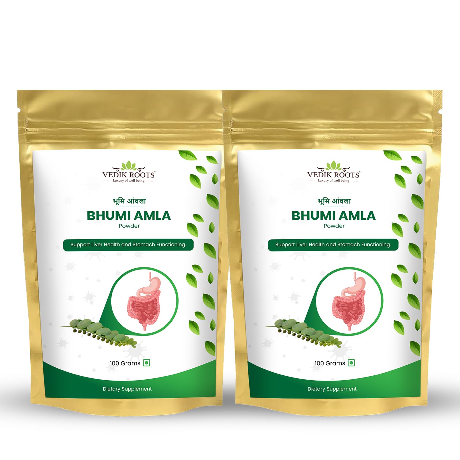 VEDIKROOTS Bhumi Amla Powder 100 g