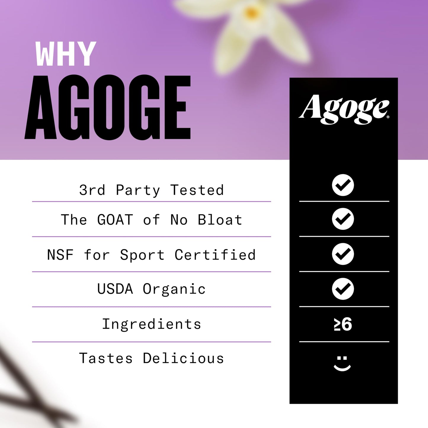 Agoge USDA Organic Hemp Protein Powder Vanilla Flavor 20 Servings