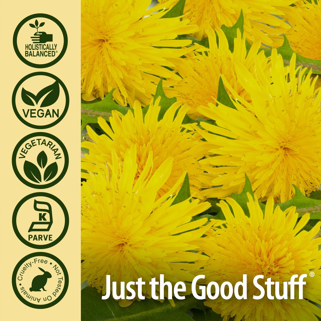 Nature's Answer Dandelion Root Capsule 90 Count