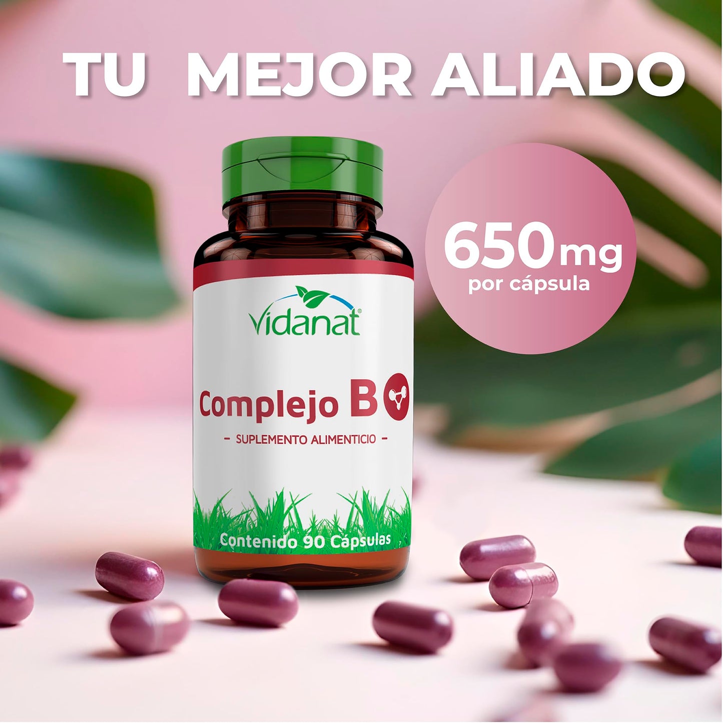 Vidanat Complex B Capsules 1 Count